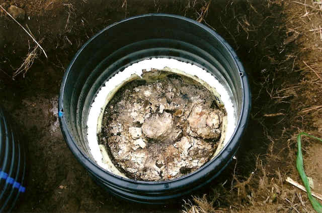 septic texas cities 
      zip batch